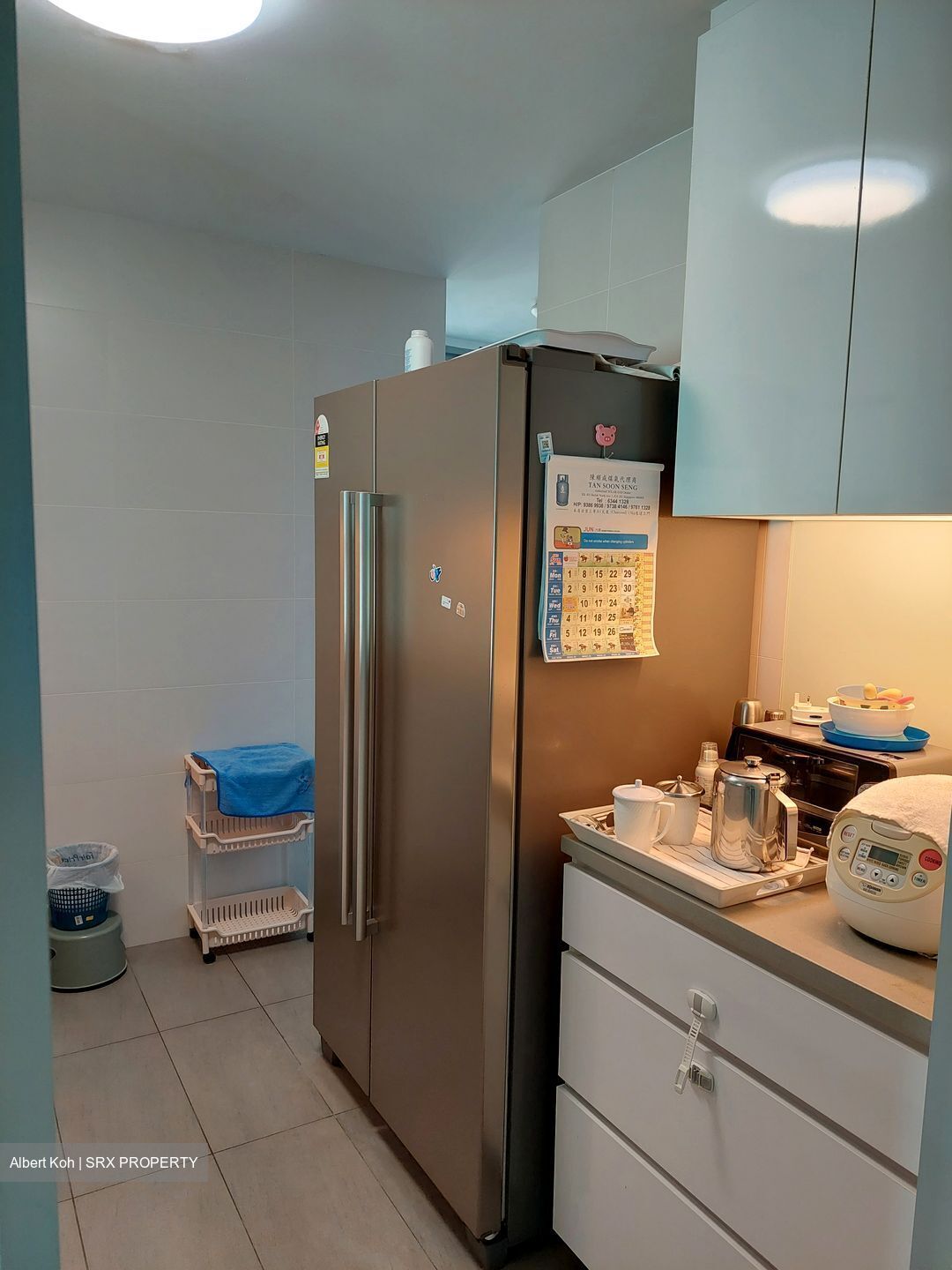 Coralis (D15), Condominium #577148211